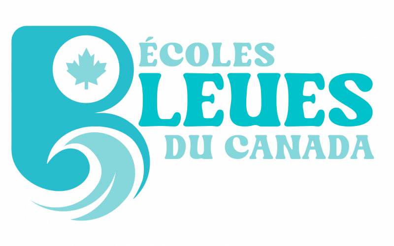 French Copy of Blue Schools Canada Branding Guidelines (1)